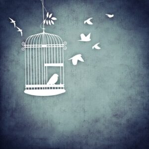 Program terapii uzależnień Alma Libre